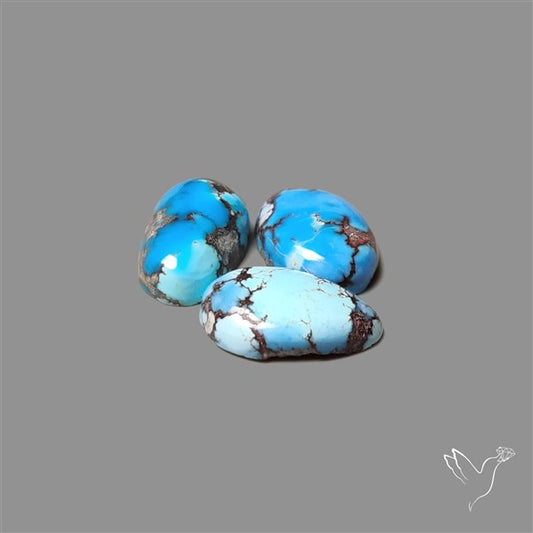 Golden Hill Turquoise Cabochons Lot