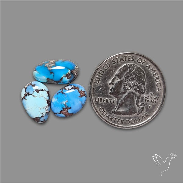 Golden Hill Turquoise Cabochons Lot