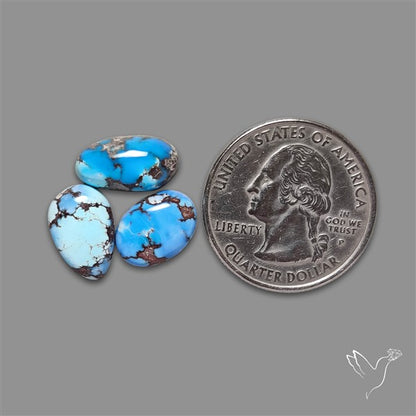 Golden Hill Turquoise Cabochons Lot