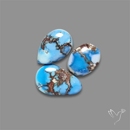 Golden Hill Turquoise Cabochons Lot