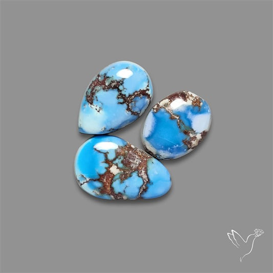 Golden Hill Turquoise Cabochons Lot
