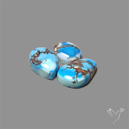 Golden Hill Turquoise Cabochons Lot