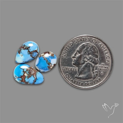 Golden Hill Turquoise Cabochons Lot