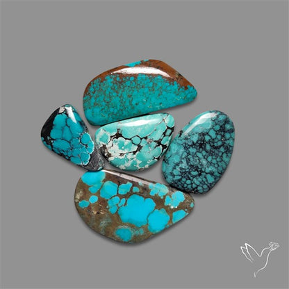 Hubei Turquoise Cabochons Lot