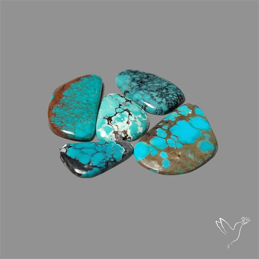 Hubei Turquoise Cabochons Lot