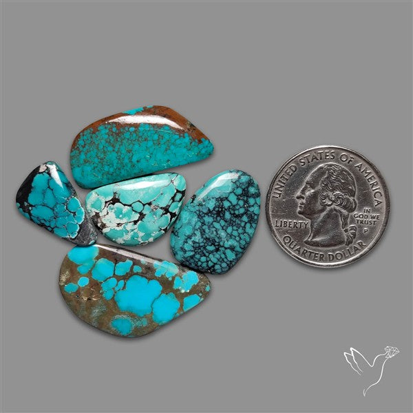 Hubei Turquoise Cabochons Lot