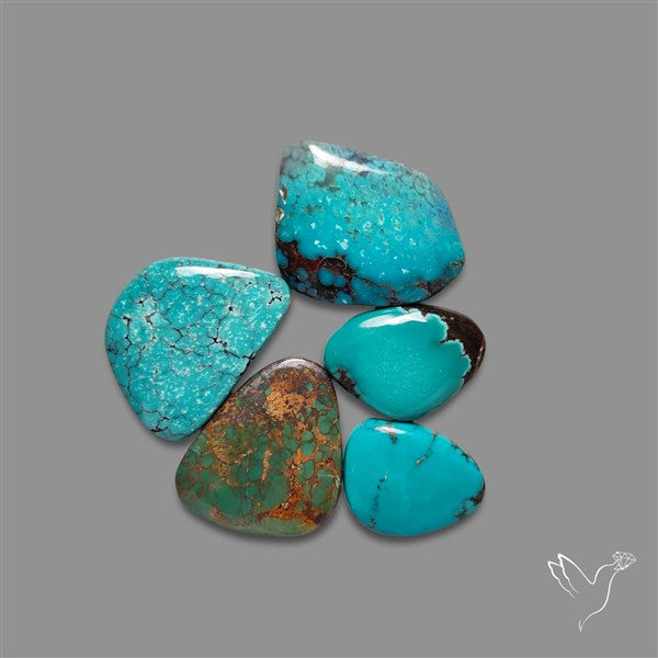 Hubei Turquoise Cabochons Lot