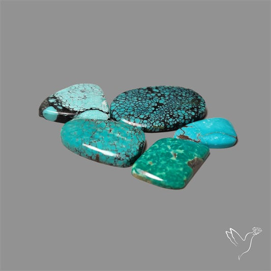 Hubei Turquoise Cabochons Lot