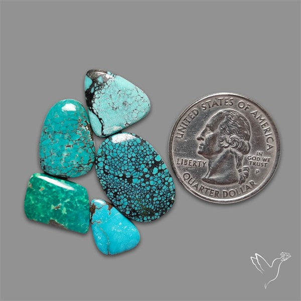 Hubei Turquoise Cabochons Lot