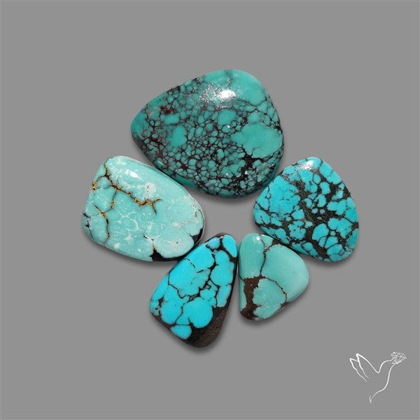 Hubei Turquoise Cabochons Lot