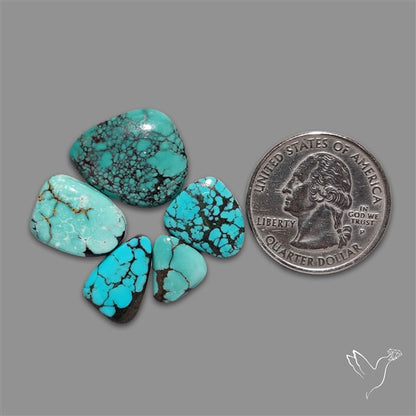 Hubei Turquoise Cabochons Lot