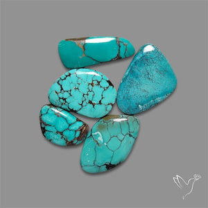 Hubei Turquoise Cabochons Lot