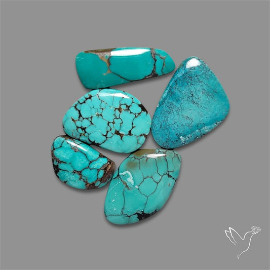 Hubei Turquoise Cabochons Lot