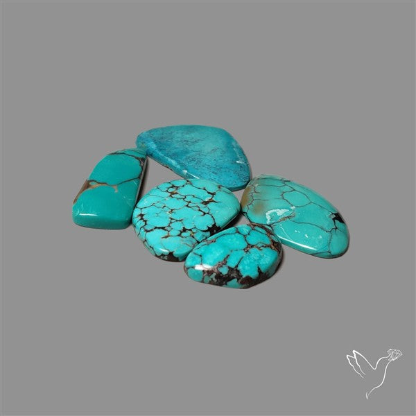 Hubei Turquoise Cabochons Lot