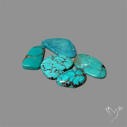 Hubei Turquoise Cabochons Lot