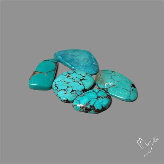 Hubei Turquoise Cabochons Lot