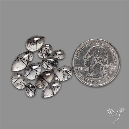 Black Tourmalinated Quartz Cabochons Lot