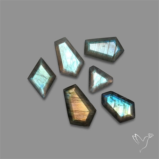 Portrait Cut Labradorites Lot