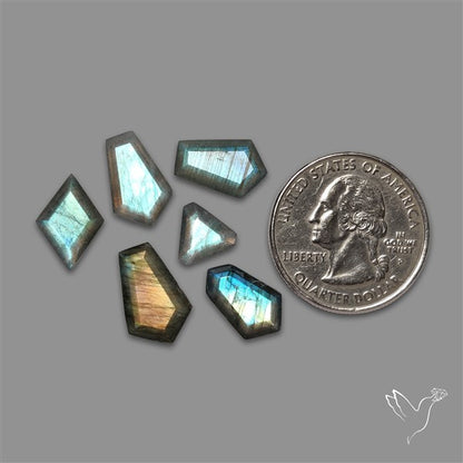 Portrait Cut Labradorites Lot