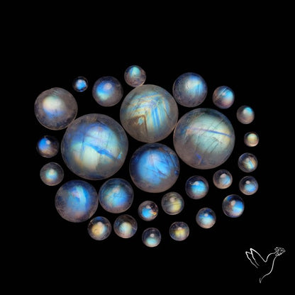 Rainbow Moonstone Round Cabochons Lot