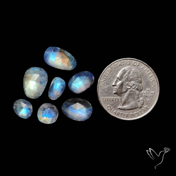 Rose Cut Rainbow Moonstone Lot
