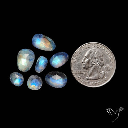 Rose Cut Rainbow Moonstone Lot