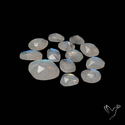 Rose Cut Rainbow Moonstone Lot