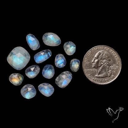Rose Cut Rainbow Moonstone Lot