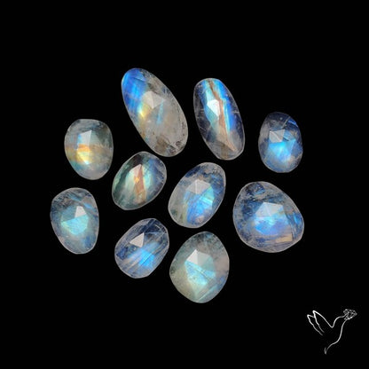 Rose Cut Rainbow Moonstone Lot