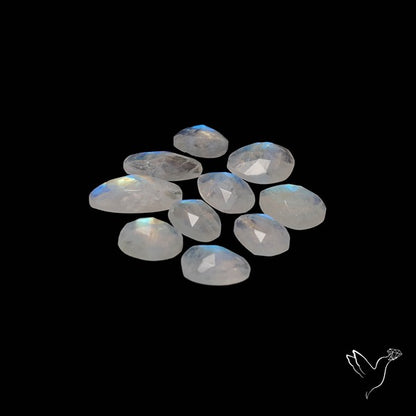 Rose Cut Rainbow Moonstone Lot