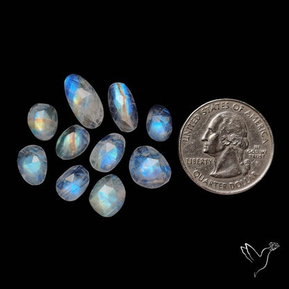 Rose Cut Rainbow Moonstone Lot