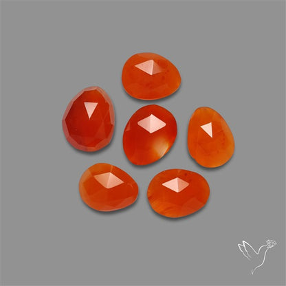 Rose Cut Carnelian Agate Lot