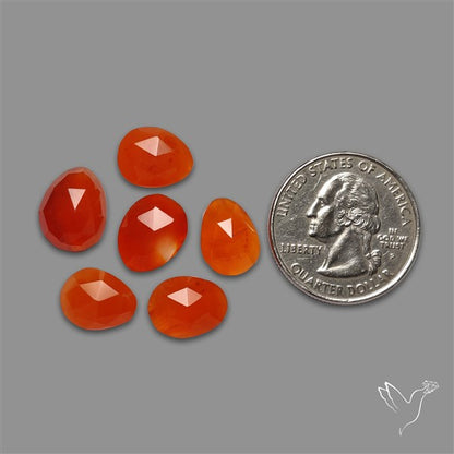 Rose Cut Carnelian Agate Lot