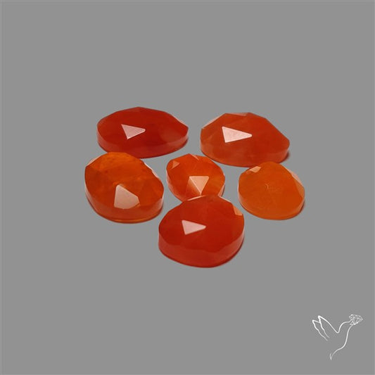 Rose Cut Carnelian Agate Lot