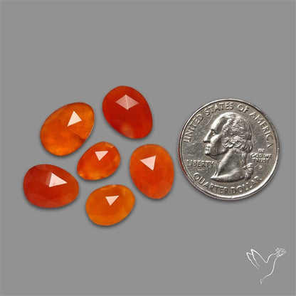 Rose Cut Carnelian Agate Lot