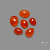 Rose Cut Carnelian Agate Lot