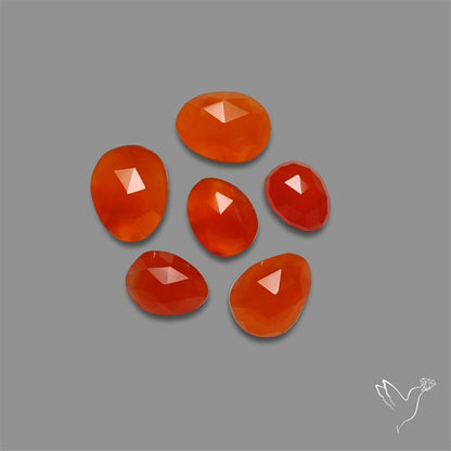 Rose Cut Carnelian Agate Lot