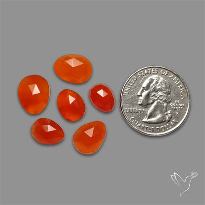 Rose Cut Carnelian Agate Lot