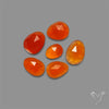 Rose Cut Carnelian Agate Lot