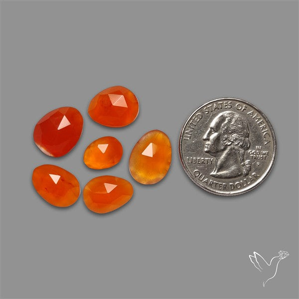 Rose Cut Carnelian Agate Lot