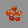 Rose Cut Carnelian Agate Lot