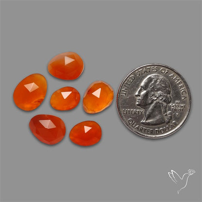 Rose Cut Carnelian Agate Lot