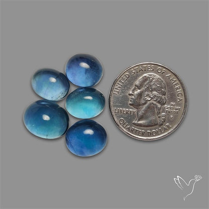 Belgian Fluorite Cabochons Lot