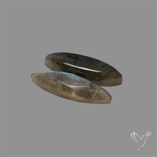 Rose Cut & Cabochon Labradorite Lot