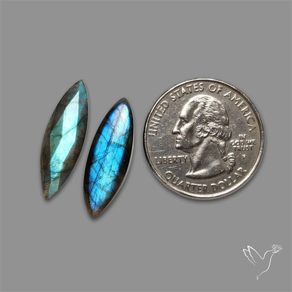 Rose Cut & Cabochon Labradorite Lot