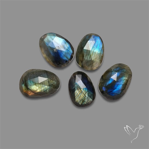 Rose Cut Labradorite Lot