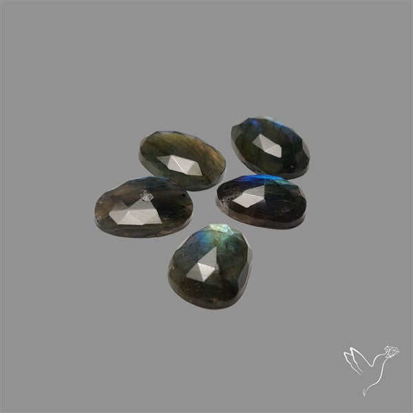 Rose Cut Labradorite Lot