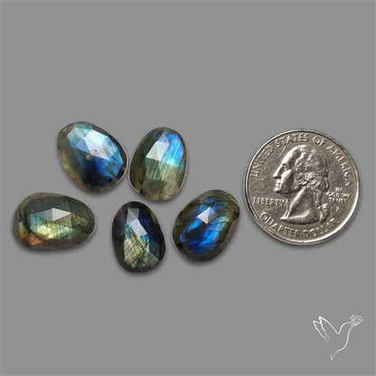 Rose Cut Labradorite Lot