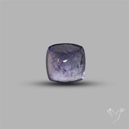 Gey Tanzanite Sugarloaf High Grade