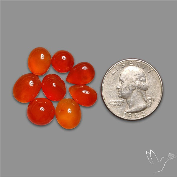 Carnelian Agate Cabochons Lot